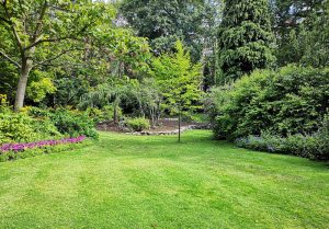 Optimiser l'expérience du jardin à Tart-le-Bas