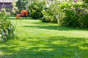 travaux jardin et paysage Tart-le-Bas